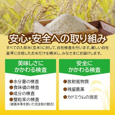 低温製法米　宮城県産ササニシキ　5kg×4袋　精米