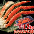 【 カニ 】 たらばがに 脚 6Lサイズ 1.2kg×1本 ＜ マルヤ水産 ＞ かに 蟹