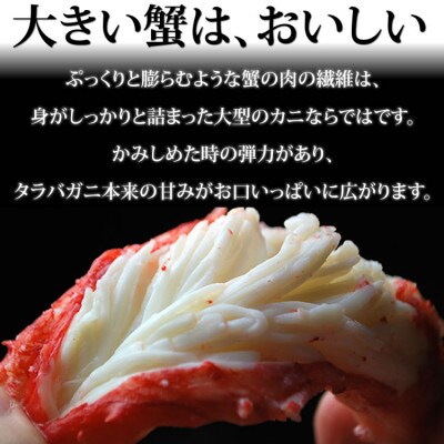 【 カニ 】 たらばがに 脚 GPサイズ 900g×1本 ＜ マルヤ水産 ＞ かに 蟹