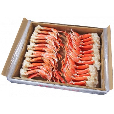 ボイル ずわいがに 脚 5kg Lサイズ
