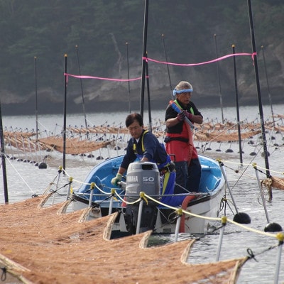 宮城県荒浜産　あらはま海苔　味付海苔80袋 400枚
