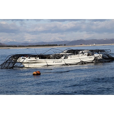 宮城県荒浜産 あらはま海苔 焼海苔　10枚×6袋