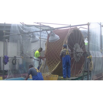 宮城県荒浜産 あらはま海苔 朝海苔セット　3種