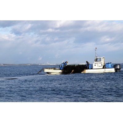 宮城県荒浜産 あらはま海苔 焼海苔詰合せ　5種