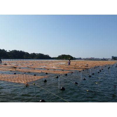 宮城県荒浜産 あらはま海苔 特選焼海苔詰合せ　5種