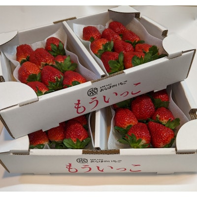 宮城県「もういっこ」(8～11粒入り)約280g×4パック
