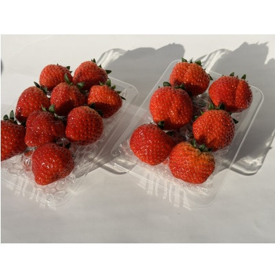 宮城県亘理町産 いちご「もういっこ」250g×4パック