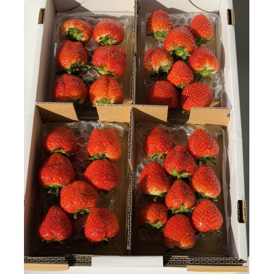 宮城県亘理町産 いちご「もういっこ」250g×4パック