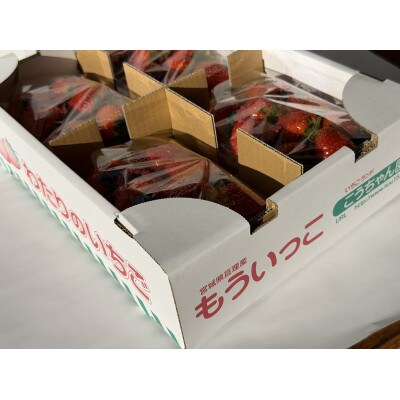 宮城県亘理町産 いちご「もういっこ」250g×4パック