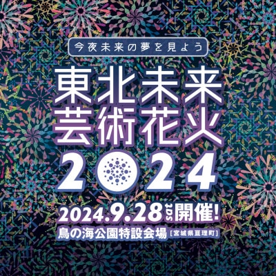 東北未来芸術花火2024 イス席(指定)駐車場券付きペアチケット