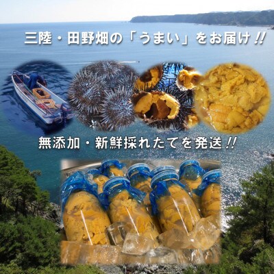 三陸の生うに　180g×1本　国立公園・田野畑村から(瓶入り、ミョウバン不使用)