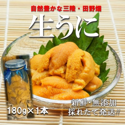 【予約・7月中旬～発送】三陸生うに　180g×1本　国立公園・田野畑村から(瓶入りミョウバン不使用)