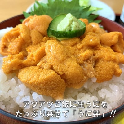 【予約・7月中旬～発送】三陸生うに　180g×1本　国立公園・田野畑村から(瓶入りミョウバン不使用)