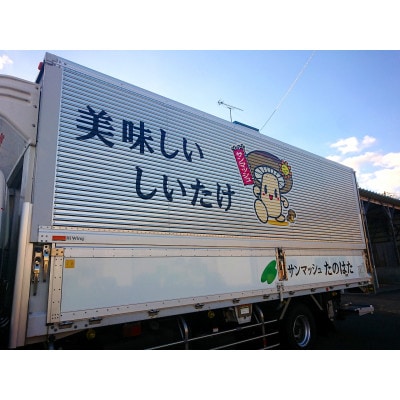 道の駅たのはたセレクション　安心国産　芳香な乾燥しいたけ詰め合わせ(菌床乾燥しいたけセット)