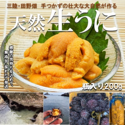 【令和7年6月～順次発送】断崖と荒波で育つ　岩手・北三陸たのはた　瓶入り生うに(約200g入り1本)