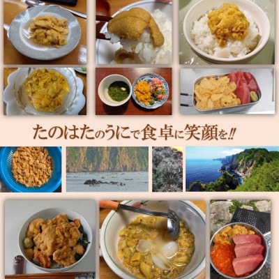 【令和7年6月～順次発送】断崖と荒波で育つ　岩手・北三陸たのはた　瓶入り生うに(約200g入り1本)