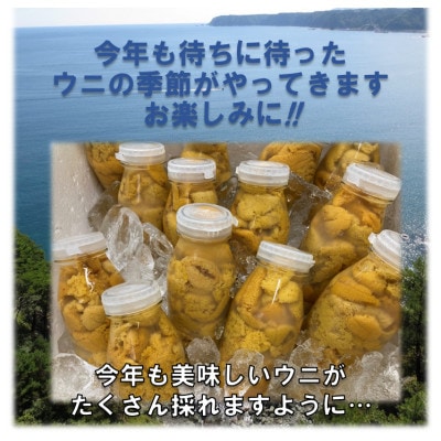 【令和8年6月～順次発送】生うに200g!!　断崖と荒波で育つ　三陸・たのはた産(1本)