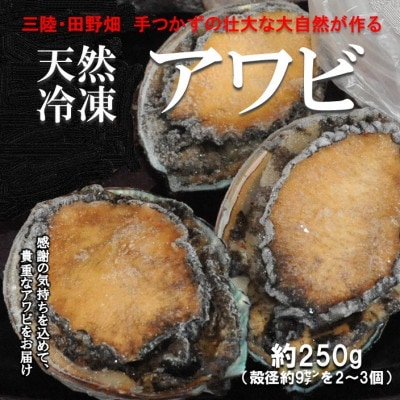 【三陸たのはた・天然冷凍アワビ】約250g(小2～3個)