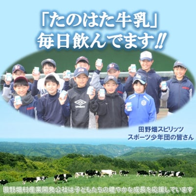 たのはた牛乳　1000ml　3本　【美味しさへこだわり、85℃　25分間殺菌】
