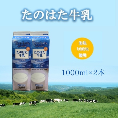 たのはた牛乳　1000ml　2本【美味しさへこだわり:85℃　25分間殺菌】