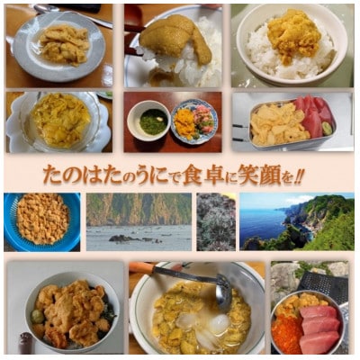 【予約・7月中旬発送】岩手・三陸　小さな村のきれいな海で育った　瓶入り　濃厚生うに(160g)
