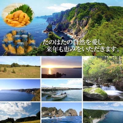 【予約・7月中旬発送】岩手・三陸　小さな村のきれいな海で育った　瓶入り　濃厚生うに(160g)