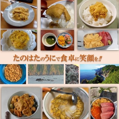【予約・7月中旬発送】岩手・三陸　小さな村のきれいな海で育った　瓶入り　濃厚生うに(160g×2本)