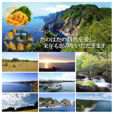 【予約・7月中旬発送】岩手・三陸　小さな村のきれいな海で育った　瓶入り　濃厚生うに(160g×2本)