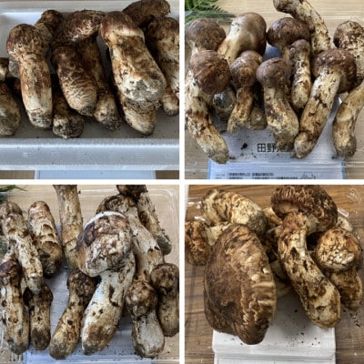 【訳あり・ミックスサイズ】400g　岩手県産　天然松茸【数量・期間限定】