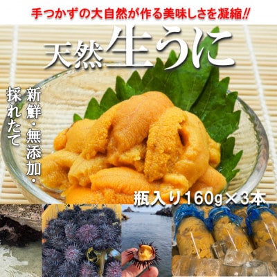 【予約・6月～発送】岩手・三陸　小さな村のきれいな海で育った新鮮瓶入り　天然生うに(160g×3本)