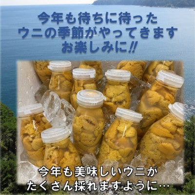 【予約・6月～発送】岩手・三陸　小さな村のきれいな海で育った新鮮瓶入り　天然生うに(160g×3本)