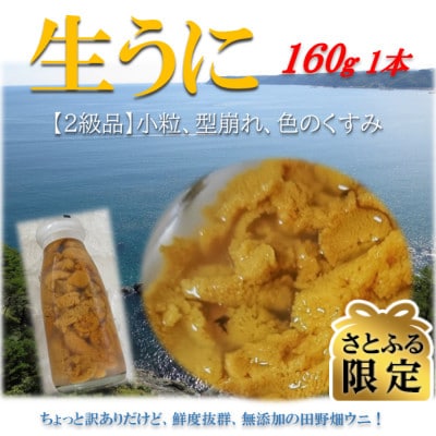 【さとふる限定】【6月～発送】小さな村のきれいな海で育った　瓶入り　不揃い生うに(160g)
