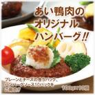 田野畑村産鴨ハンバーグセット(ソース付)　100g×10個