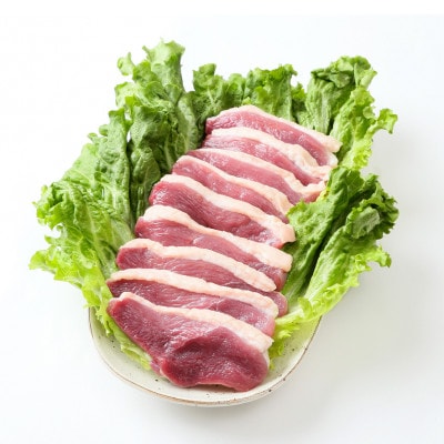 【岩手三陸たのはた鴨】　むね肉　1枚パック×2パック　限定300セット!