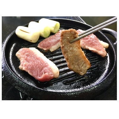 【岩手三陸たのはた鴨】　むね肉　1枚パック×2パック　限定300セット!