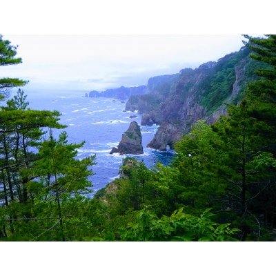 三陸田野畑村北山崎の天然黒昆布セット(天然黒昆布2袋・早煮昆布2袋　合計4袋)