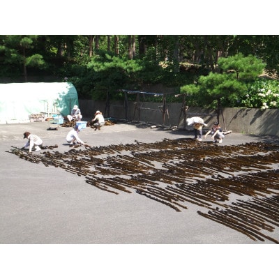 三陸田野畑村北山崎の天然黒昆布セット(天然黒昆布2袋・早煮昆布2袋　合計4袋)