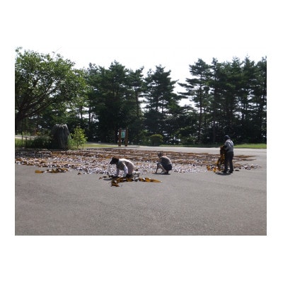 1等級　三陸田野畑村北山崎の天然黒昆布　2袋セット