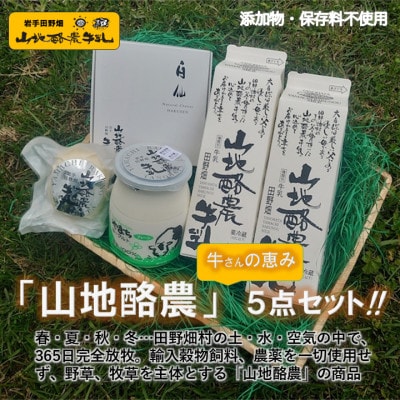 ～大自然で生まれ育った牛さんの恵～ 田野畑山地酪農乳製品詰合せ4品5点セット!