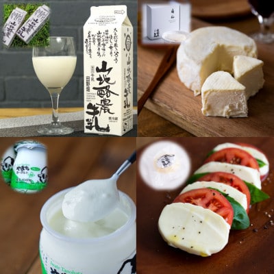 ～大自然で生まれ育った牛さんの恵～ 田野畑山地酪農乳製品詰合せ4品5点セット!