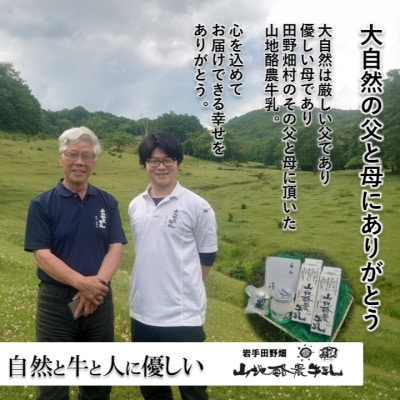 やまちヨーグルト(プレーンタイプ)4個入り(450g×1個)
