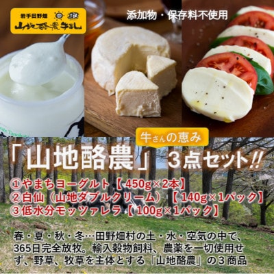～大自然で生まれ育った牛さんの恵～チーズ2種・ヨーグルト詰合せ