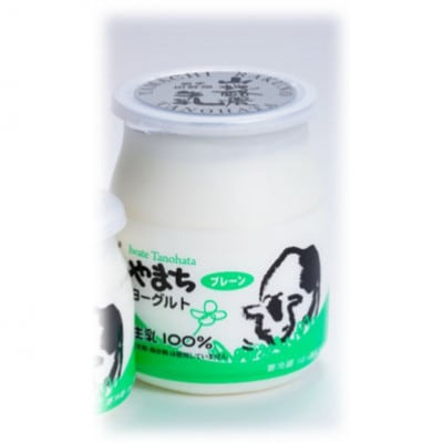 ～大自然で生まれ育った牛さんの恵～チーズ2種・ヨーグルト詰合せ