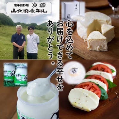 ～大自然で生まれ育った牛さんの恵～チーズ2種・ヨーグルト詰合せ