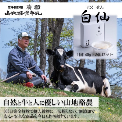 国内外で数々の賞を受賞した【白仙(はくせん)】山地ダブルクリーム　2個セット(140g×2個)