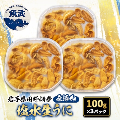 【令和8年7月～順次発送】岩手県田野畑産 無添加塩水生うに 100g×3パック 産地直送