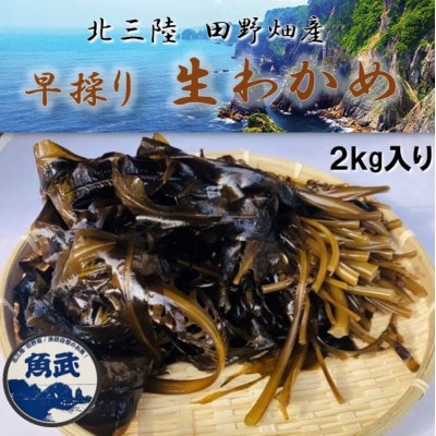 【期間限定】早採り生わかめ 2kg