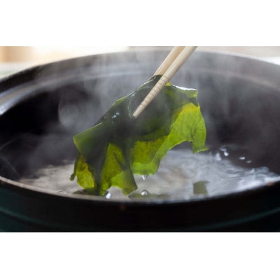 【期間限定】早採り生わかめ 2kg