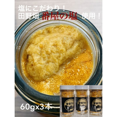 塩にこだわり! 塩うに 3本　
