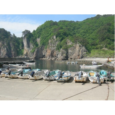 海釣り体験券(釣り竿1セット)